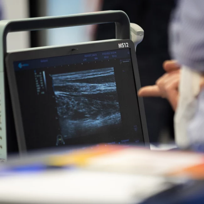 FIF26_CarrouselImg_7